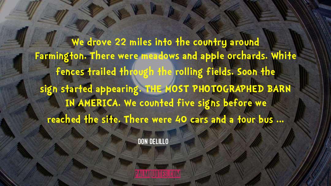 Elevated quotes by Don DeLillo