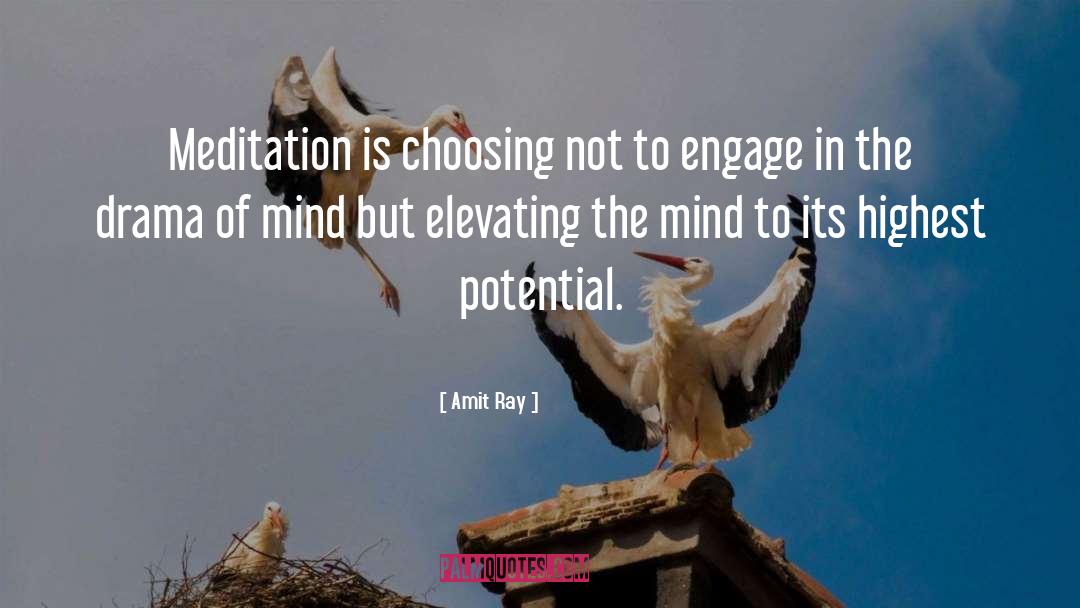 Elevating quotes by Amit Ray