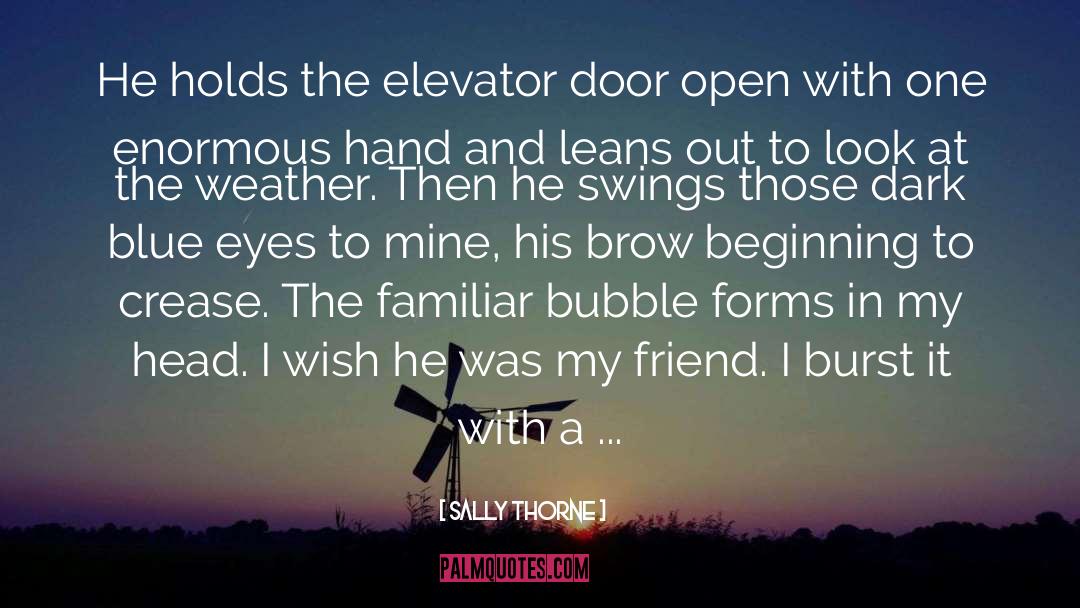 Elevator quotes by Sally Thorne
