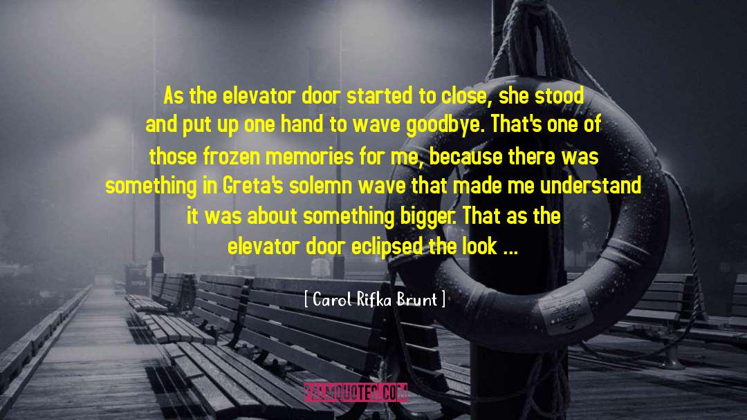 Elevator quotes by Carol Rifka Brunt