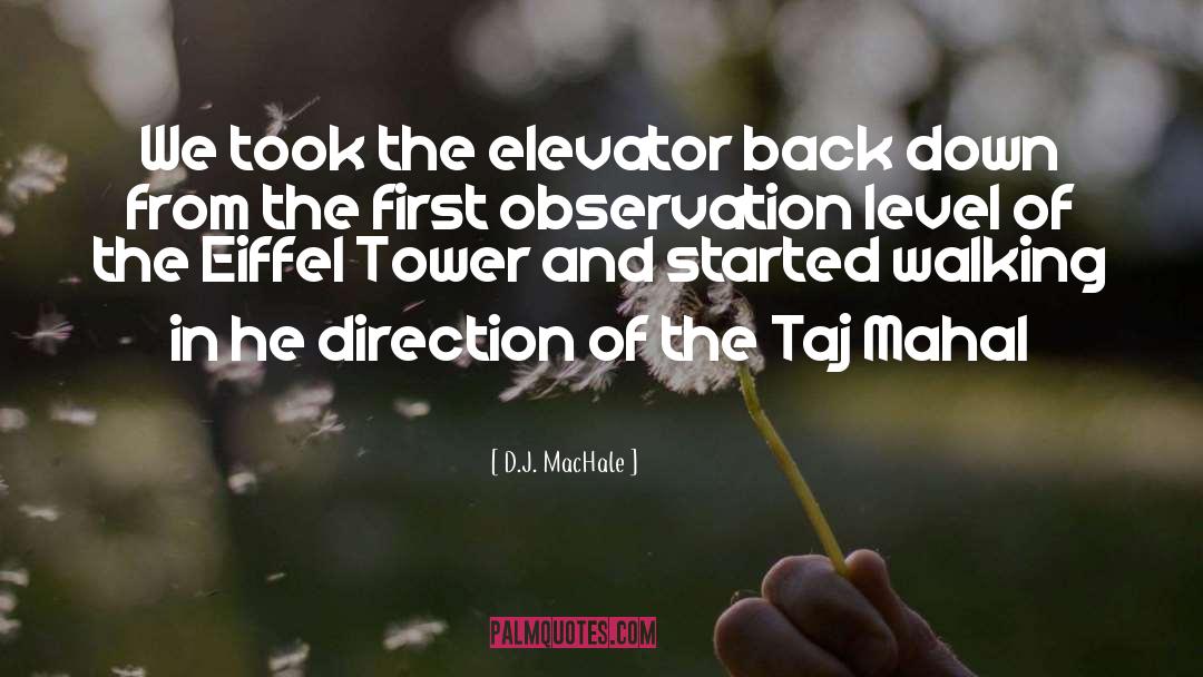 Elevator quotes by D.J. MacHale