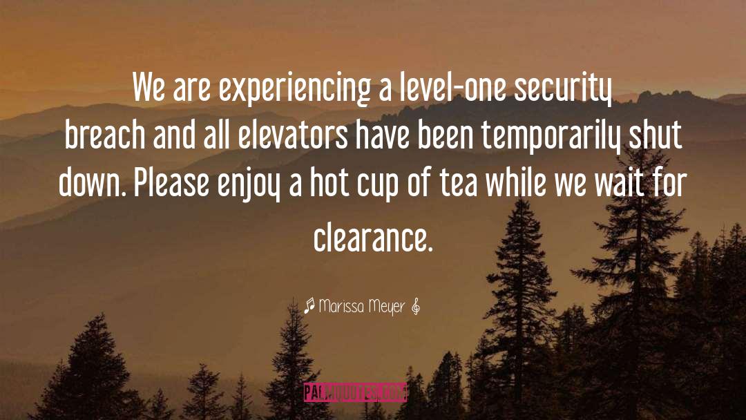 Elevators quotes by Marissa Meyer