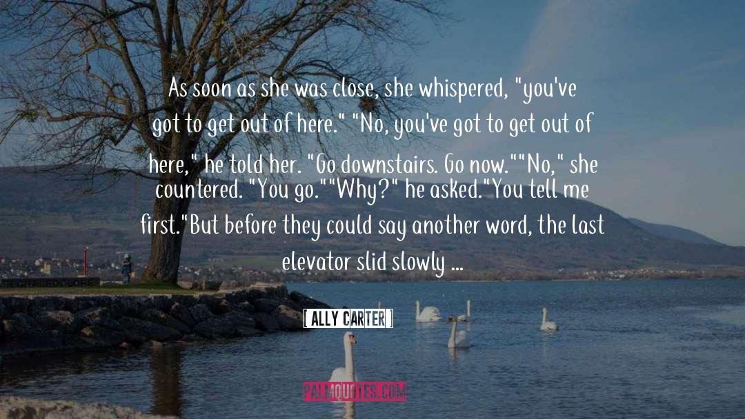 Elevators quotes by Ally Carter