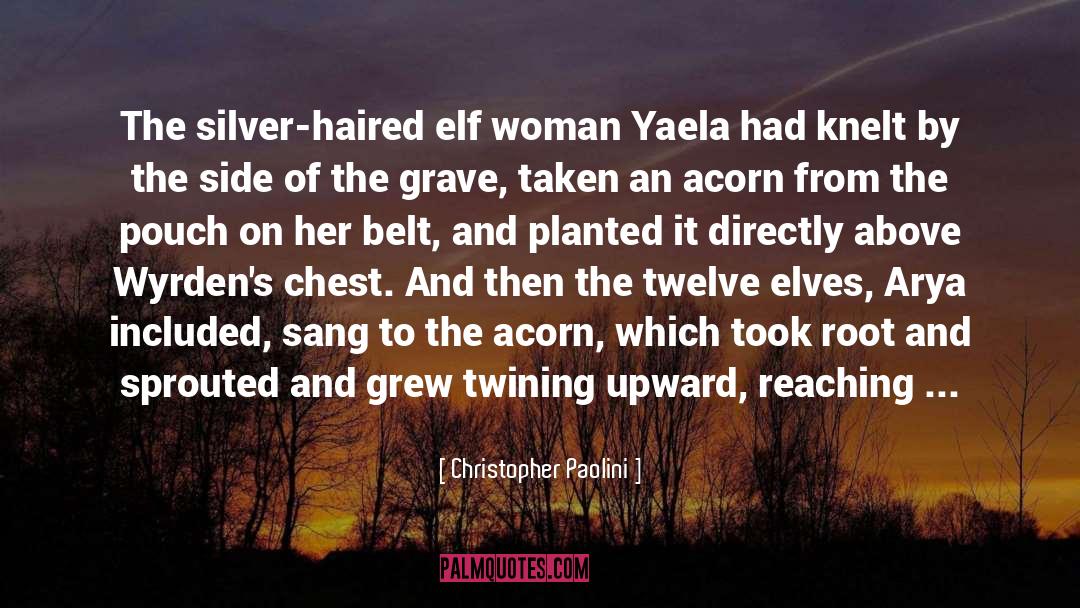 Elf quotes by Christopher Paolini