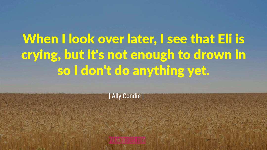 Eli Ever quotes by Ally Condie