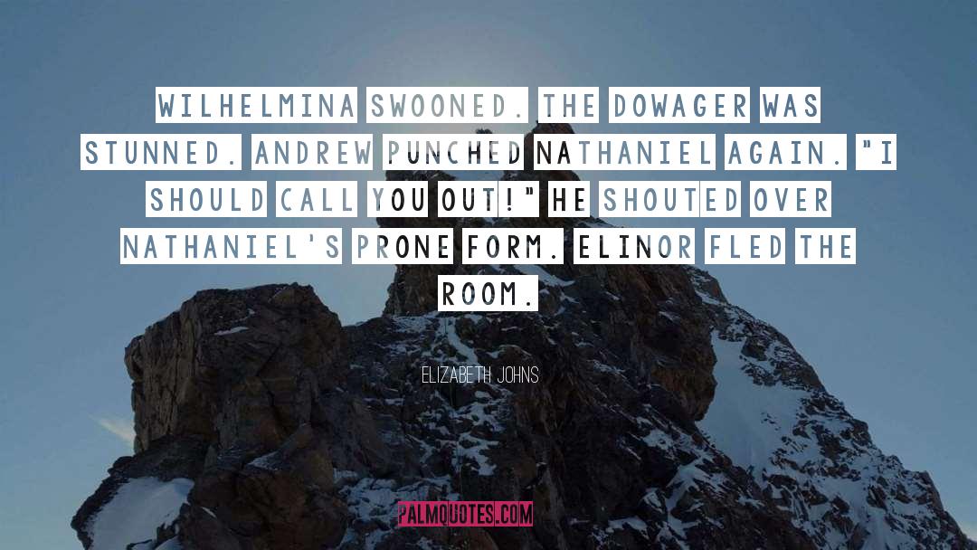 Elinor quotes by Elizabeth Johns