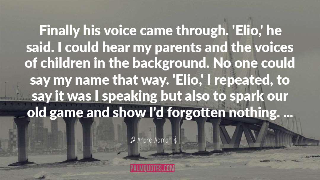 Elio quotes by Andre Aciman