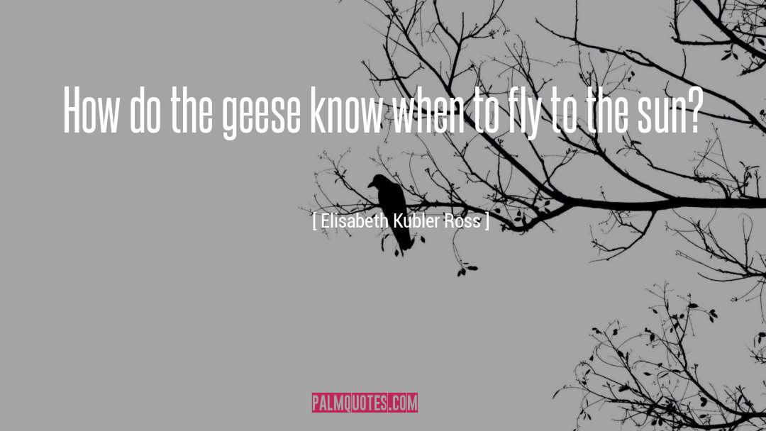 Elisabeth Ashlie quotes by Elisabeth Kubler Ross