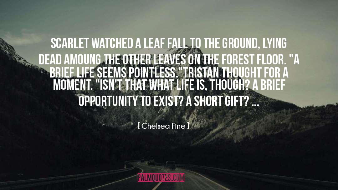 Elisenda quotes by Chelsea Fine