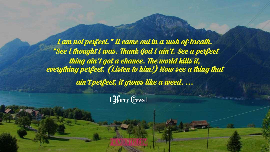Elissa Wall quotes by Harry Crews
