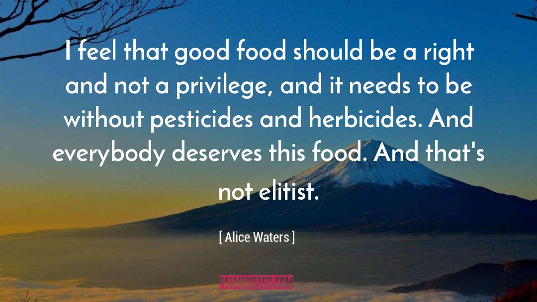 Elitist quotes by Alice Waters