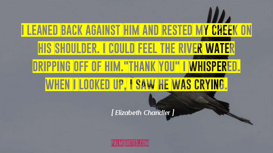 Elizabeth Chandler quotes by Elizabeth Chandler