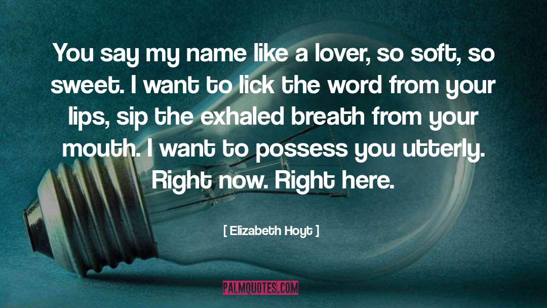 Elizabeth Hoyt quotes by Elizabeth Hoyt