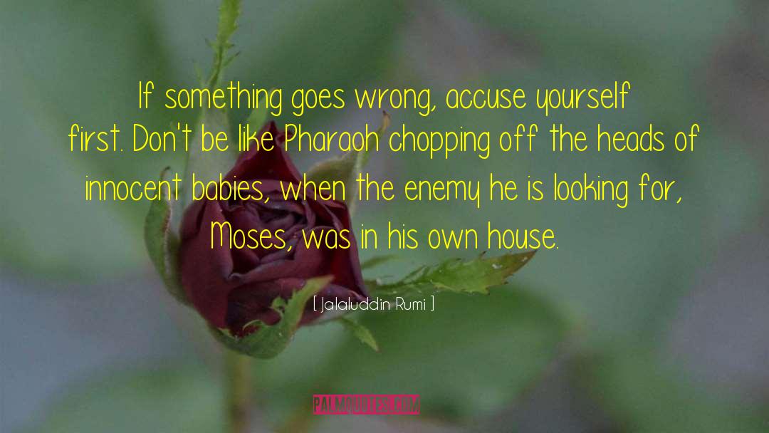 Elizabeth The First quotes by Jalaluddin Rumi