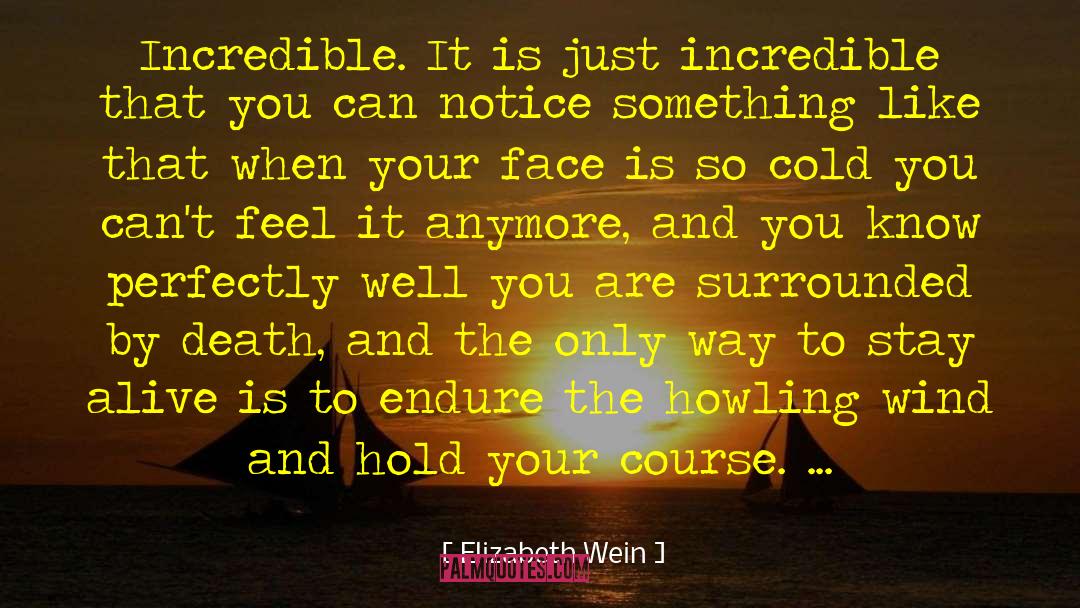 Elizabeth Wein quotes by Elizabeth Wein