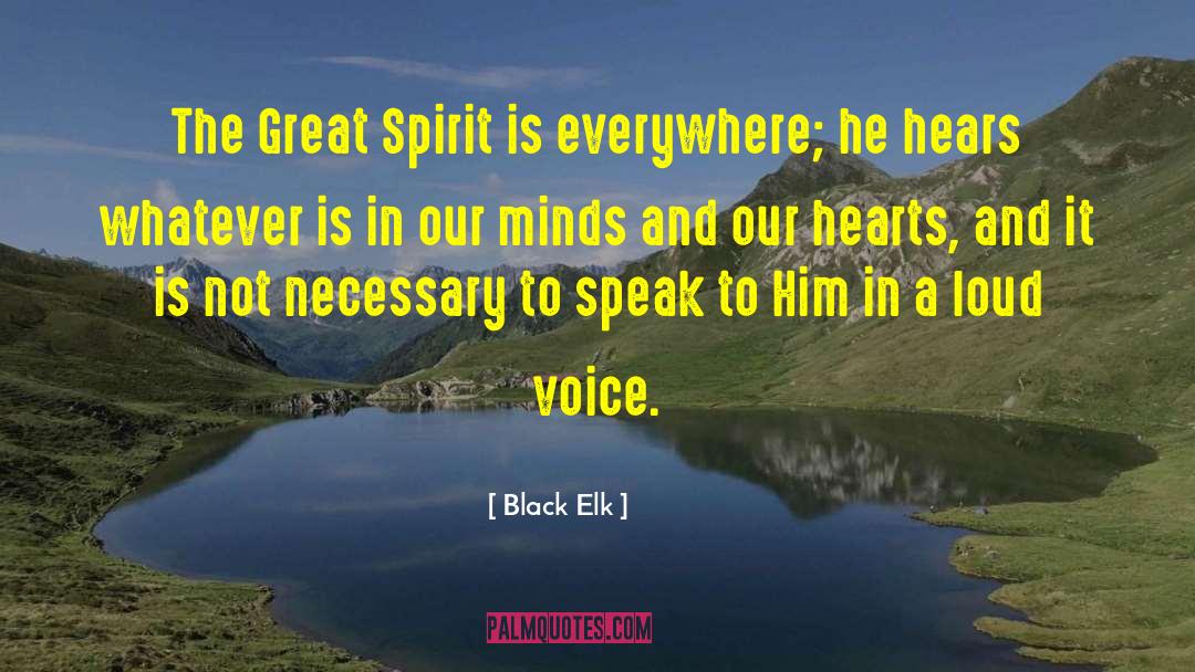 Elk Festival quotes by Black Elk