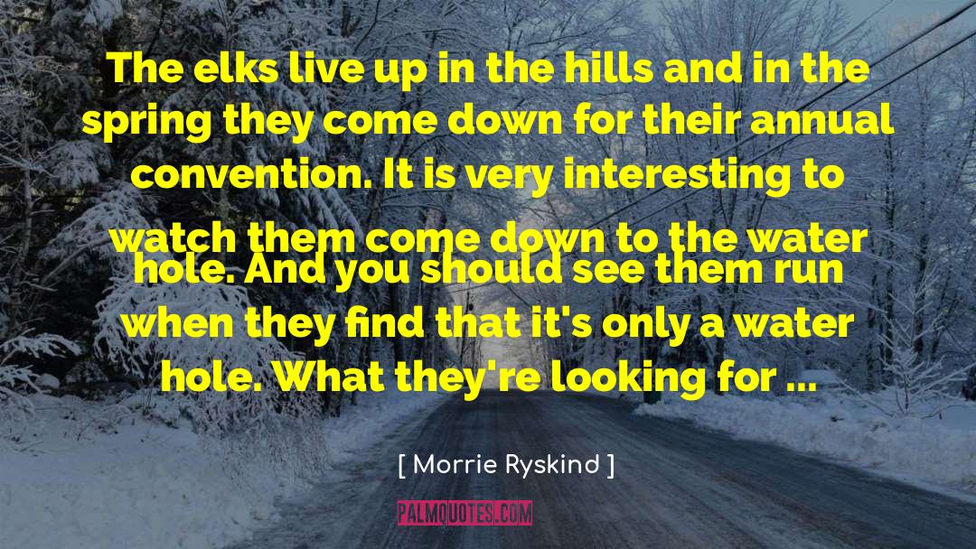 Elk quotes by Morrie Ryskind