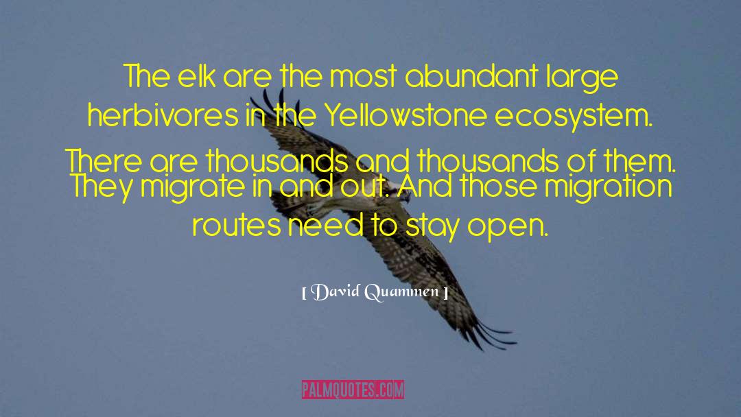 Elk quotes by David Quammen