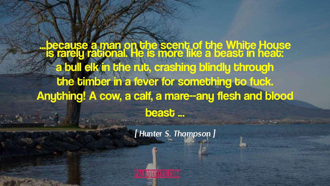 Elk quotes by Hunter S. Thompson