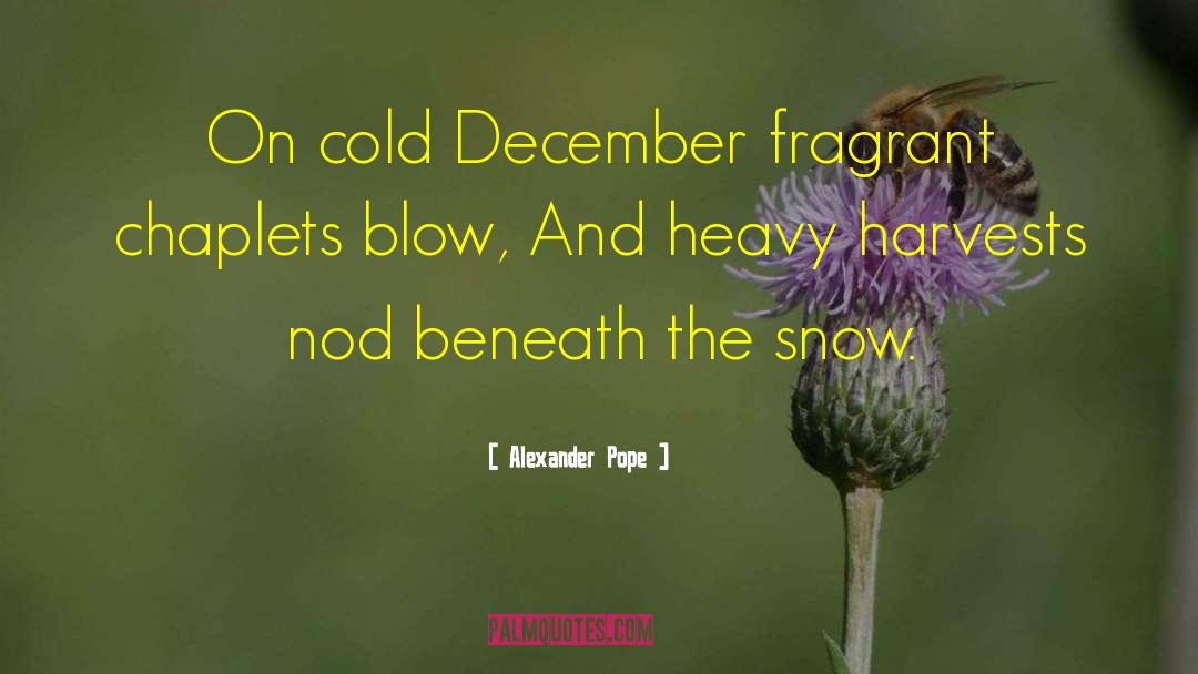 Ella December quotes by Alexander Pope