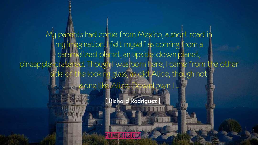 Ellamara Rodriguez quotes by Richard Rodriguez