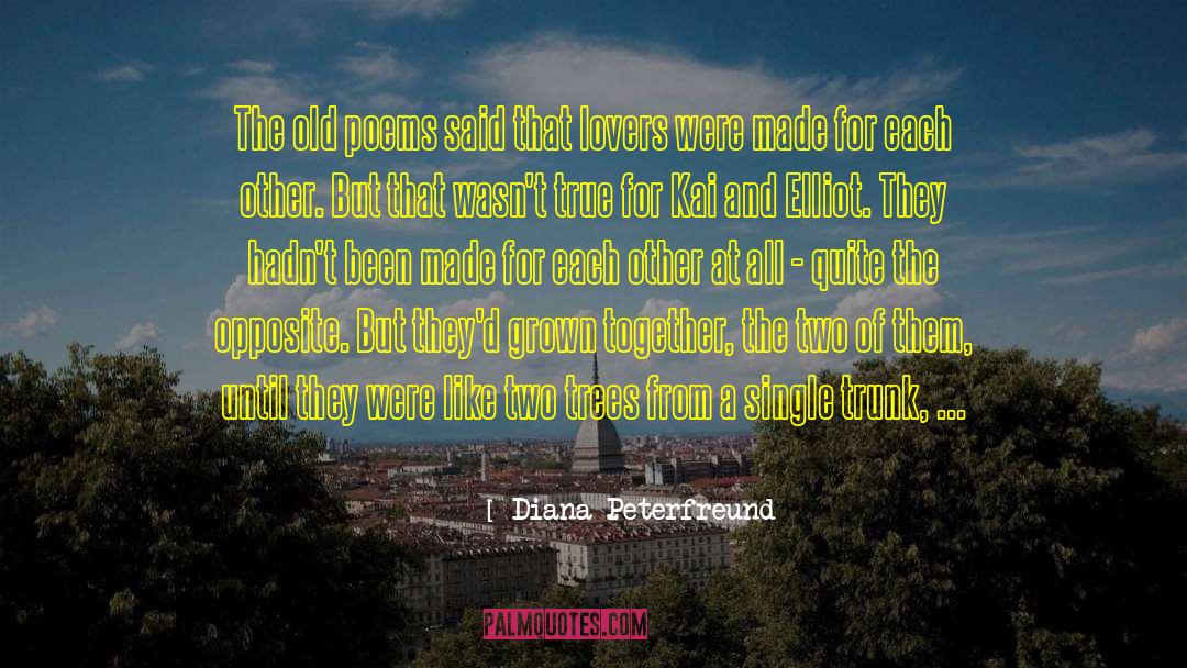 Elliot Schafer quotes by Diana Peterfreund