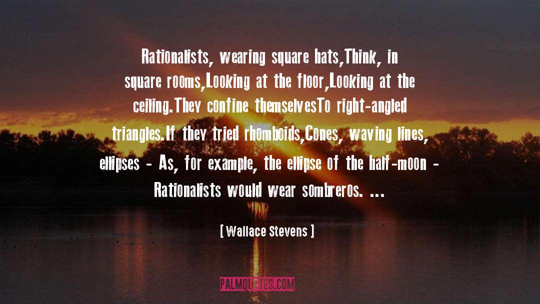 Ellipses quotes by Wallace Stevens