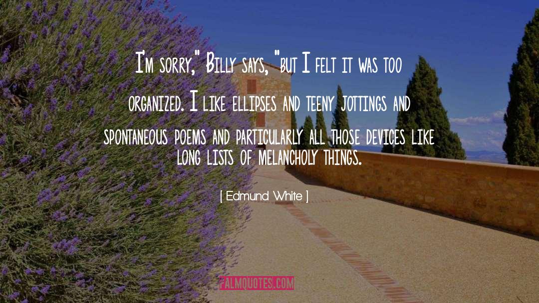 Ellipses quotes by Edmund White