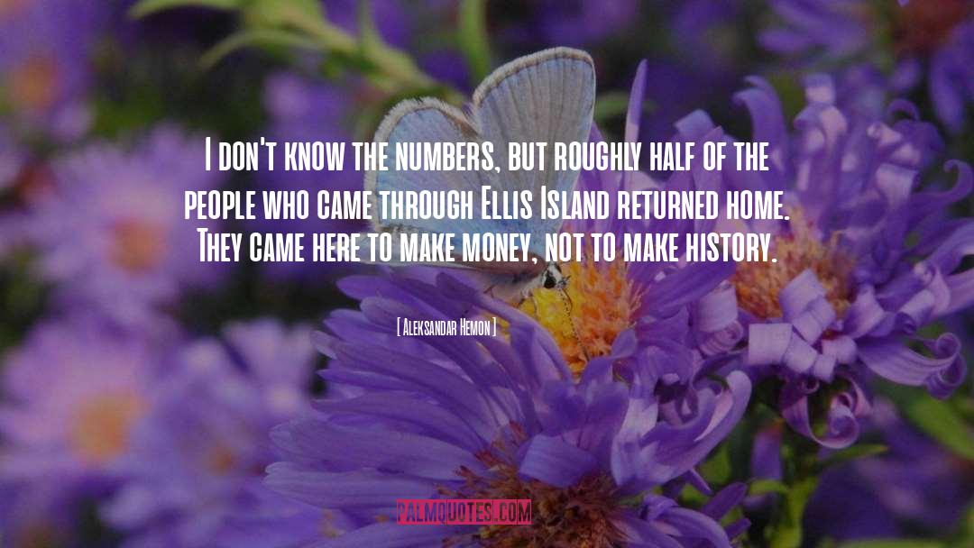 Ellis Island quotes by Aleksandar Hemon