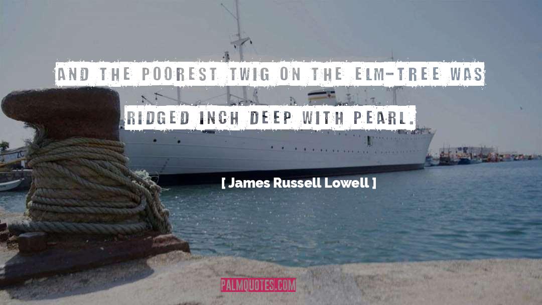 Elm Tree quotes by James Russell Lowell