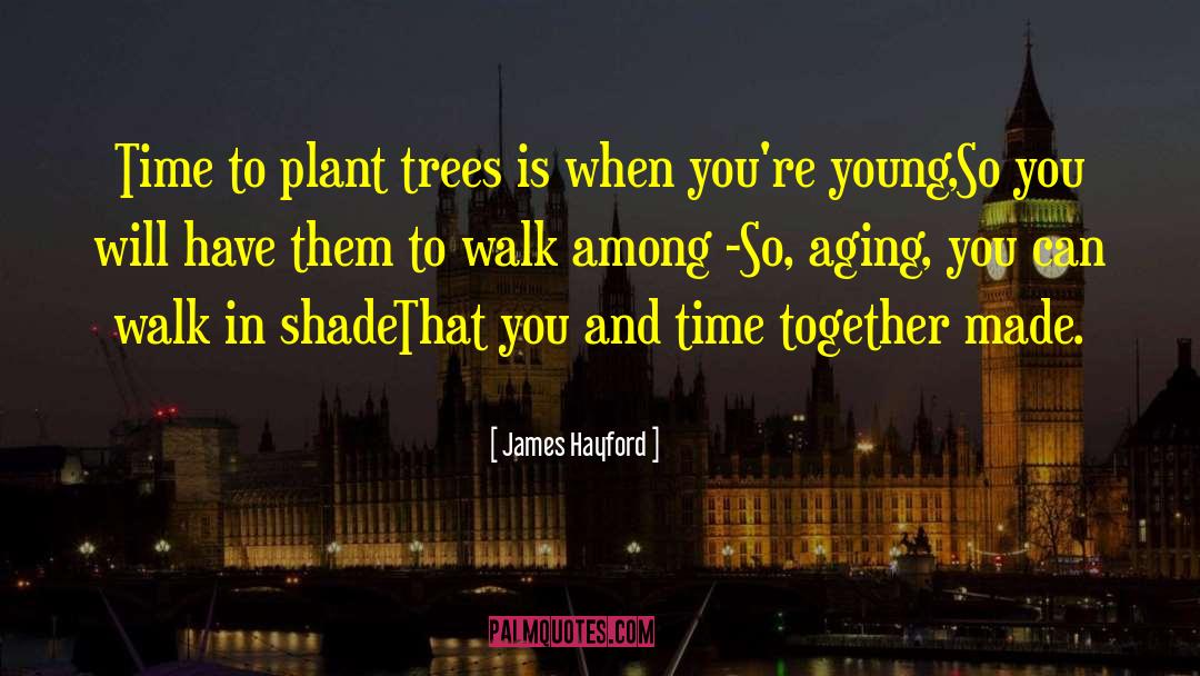 Elm Trees quotes by James Hayford