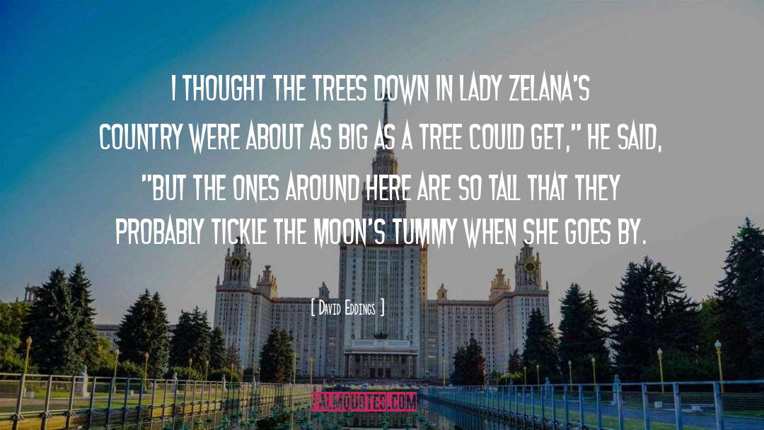 Elm Trees quotes by David Eddings