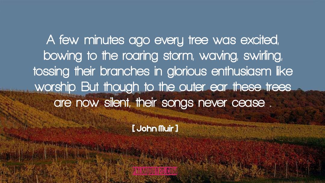 Elm Trees quotes by John Muir