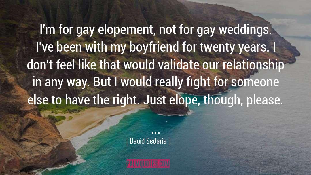 Elopement quotes by David Sedaris