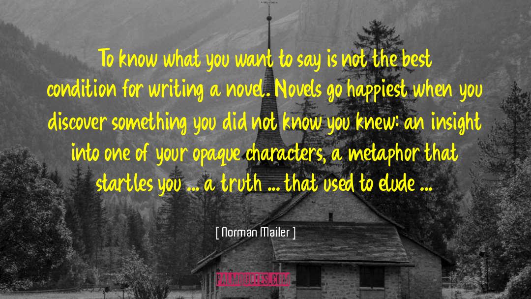 Elude You quotes by Norman Mailer