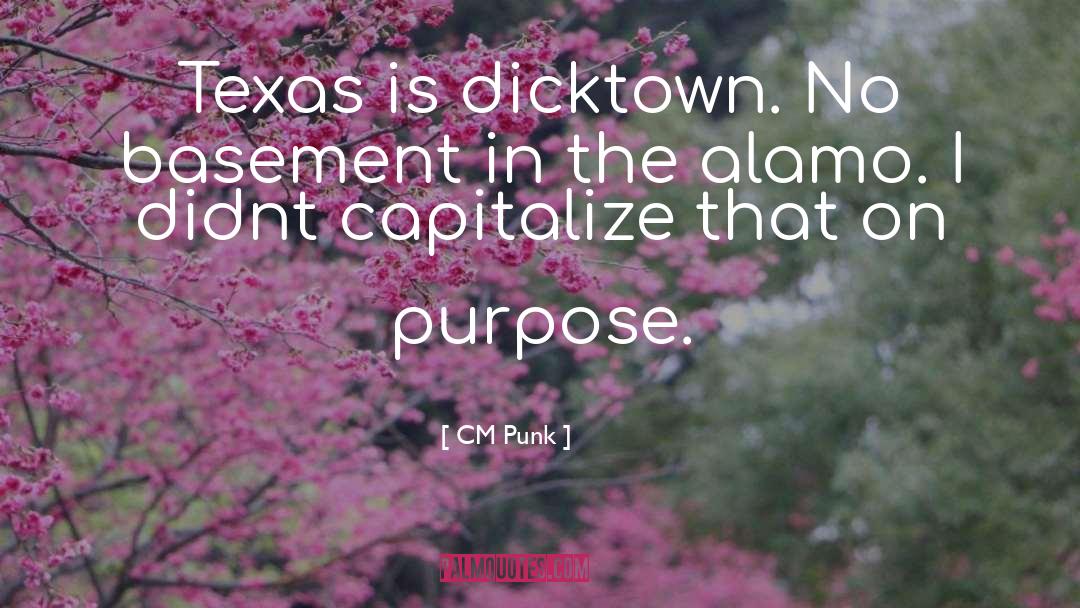 Eluding Texas quotes by CM Punk
