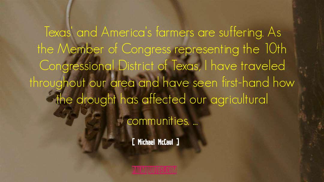 Eluding Texas quotes by Michael McCaul