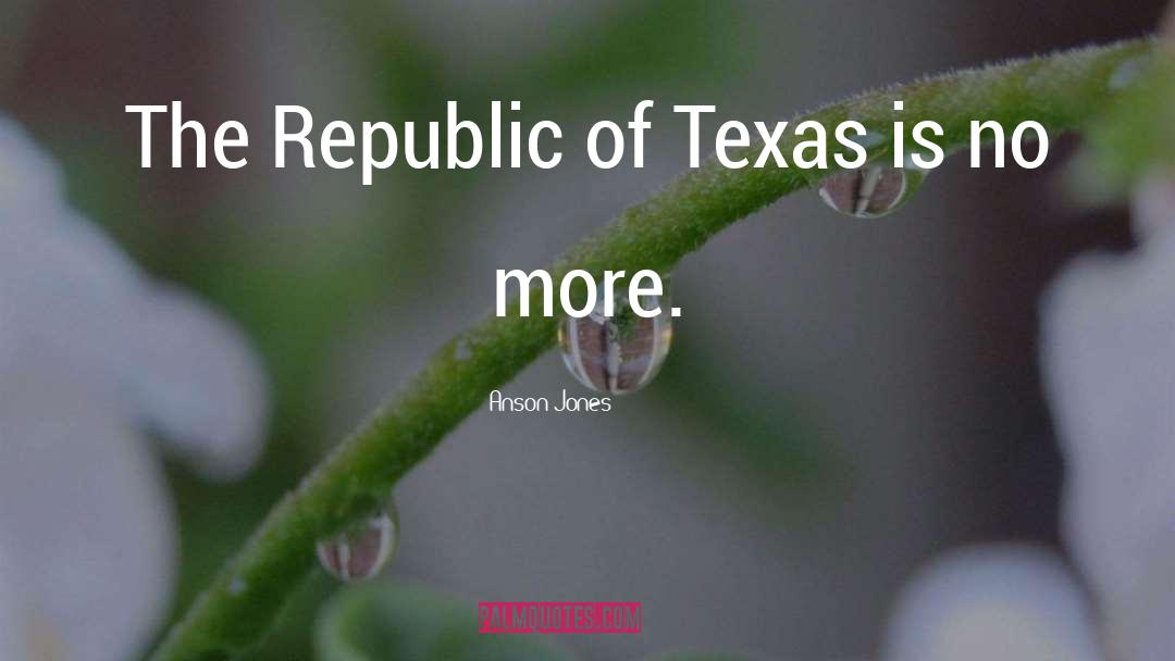 Eluding Texas quotes by Anson Jones