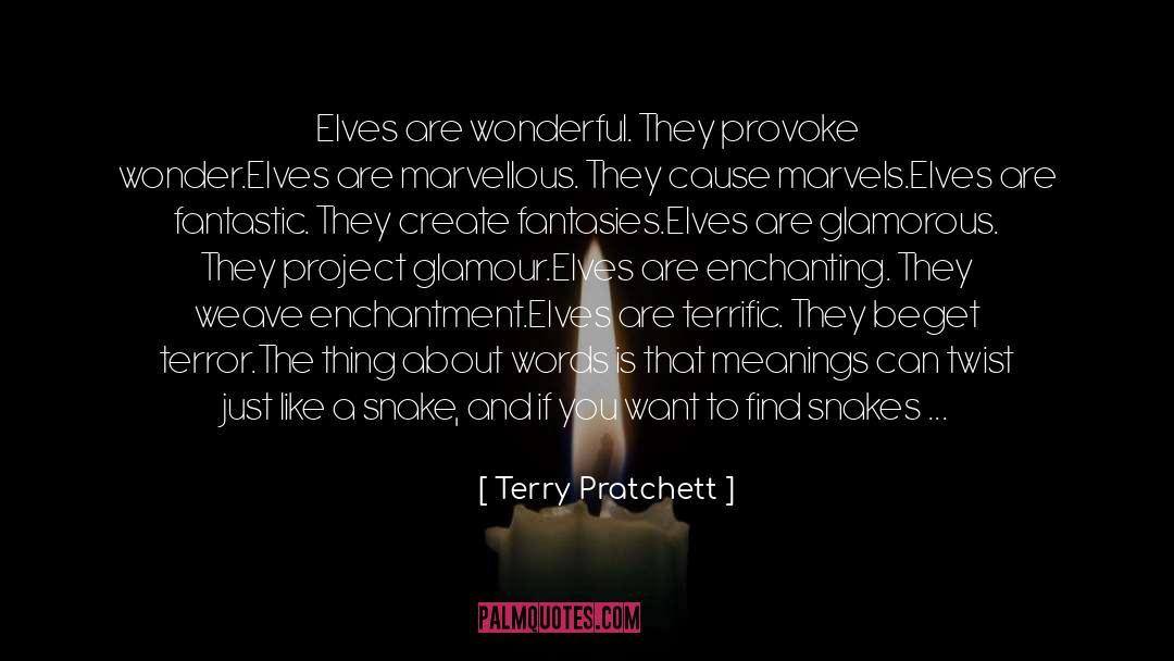 Elves quotes by Terry Pratchett