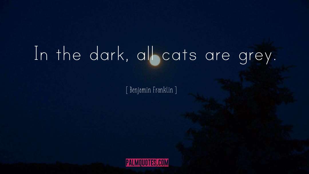 Elvira Mistress Of The Dark quotes by Benjamin Franklin
