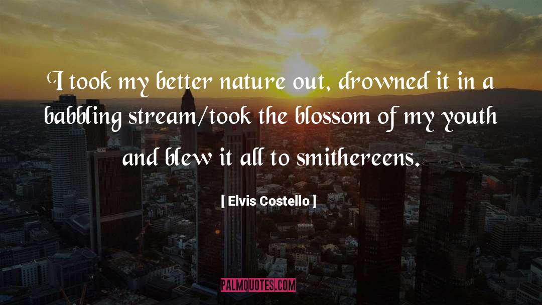 Elvis Costello quotes by Elvis Costello