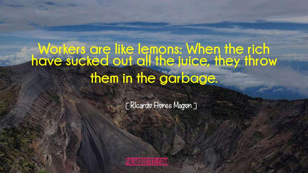 Elysandra Flores quotes by Ricardo Flores Magon