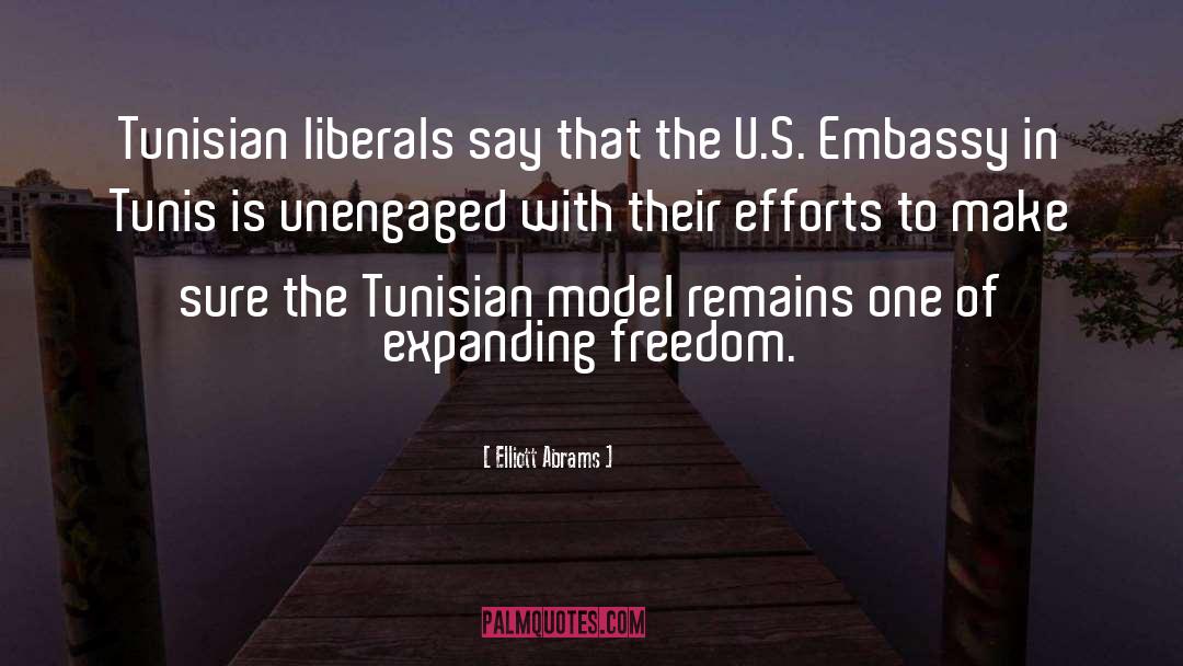 Embassy quotes by Elliott Abrams