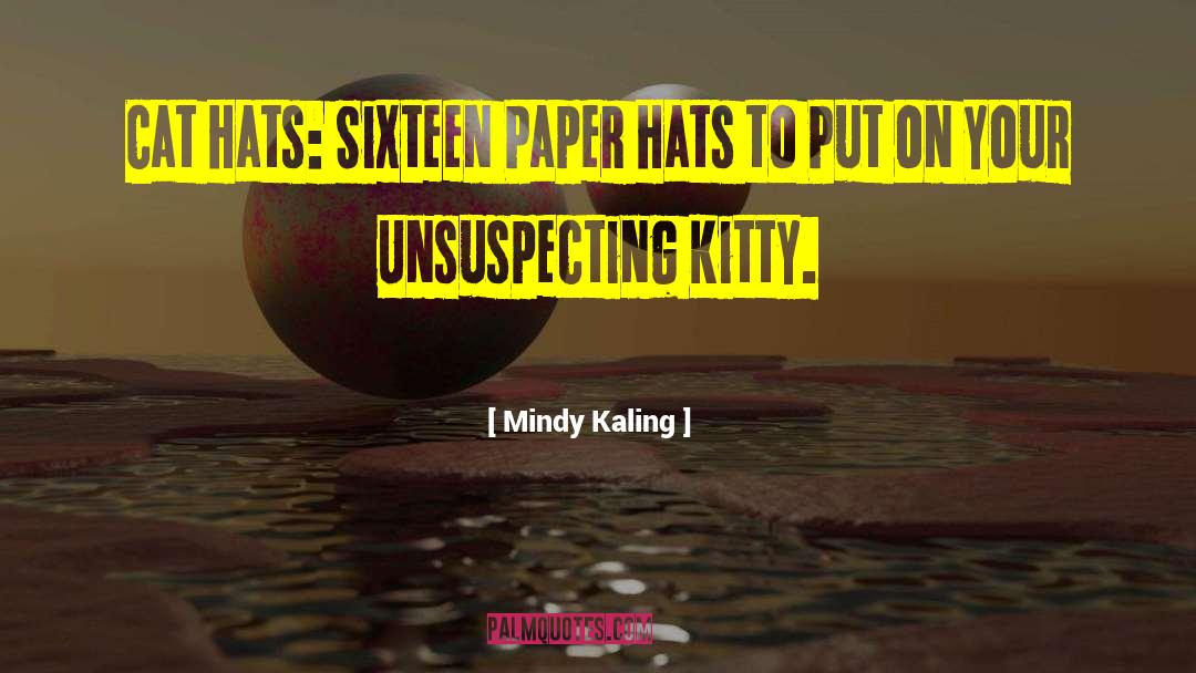 Embellished Hats quotes by Mindy Kaling
