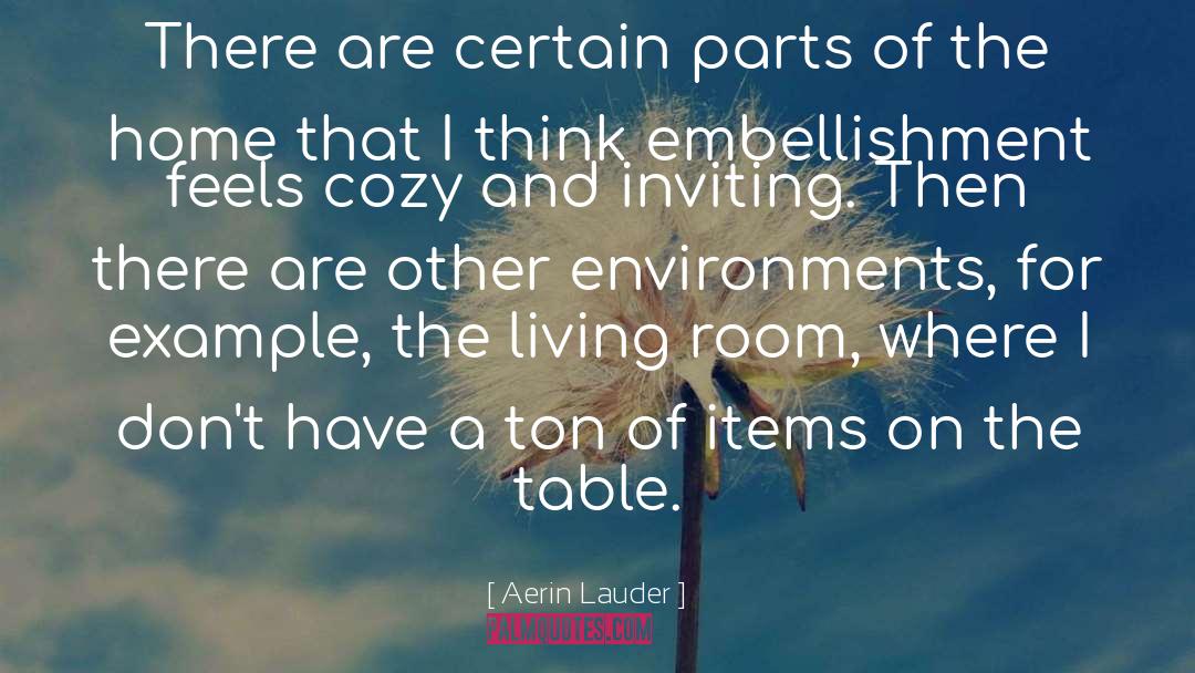 Embellishment quotes by Aerin Lauder