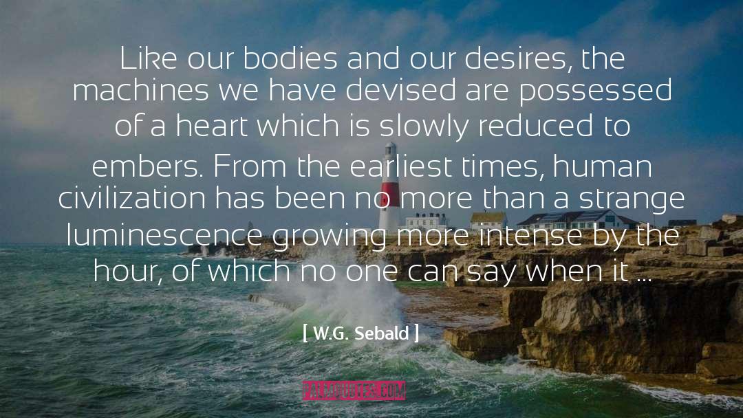 Embers quotes by W.G. Sebald