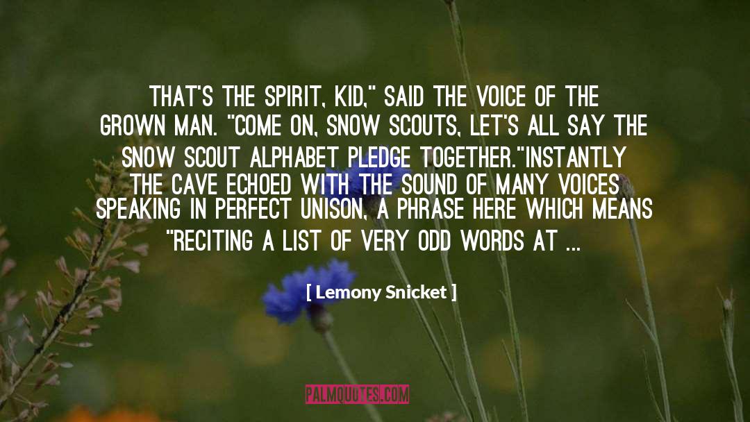 Emblematic quotes by Lemony Snicket