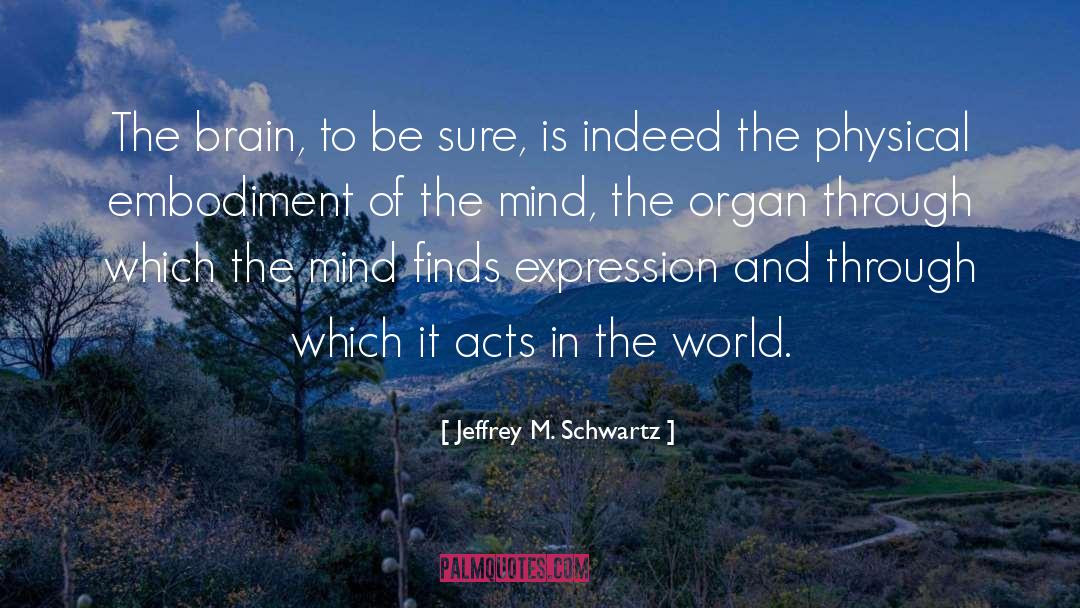 Embodiment quotes by Jeffrey M. Schwartz