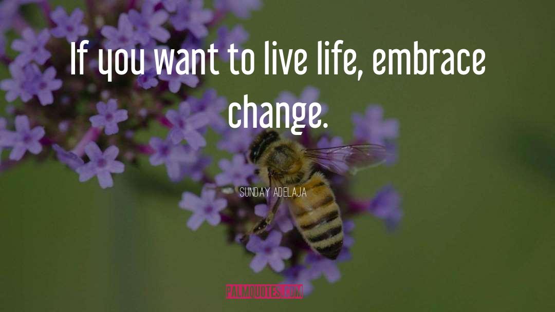 Embrace Change quotes by Sunday Adelaja