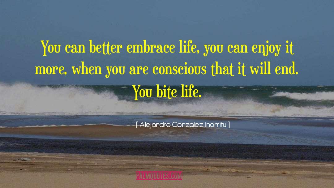 Embrace Life quotes by Alejandro Gonzalez Inarritu